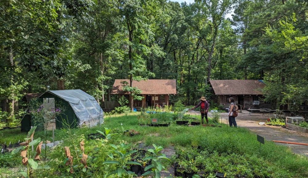 PXL_20230802_150803225 (2)