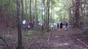 GNPS workday clearing invasive plants