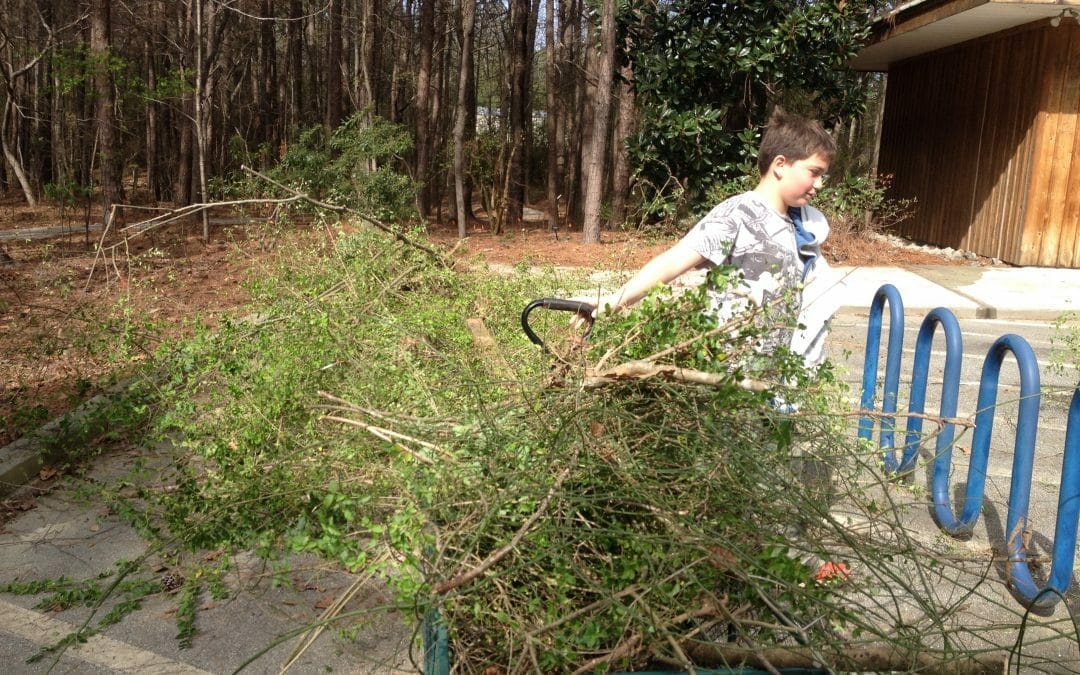 Privet Removed and Hauled Away by Scouts