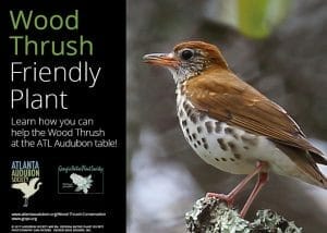 Help feed the Wood Thrush with natives
