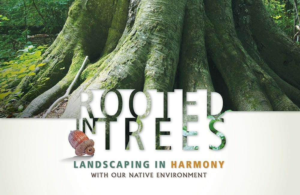 Rooted In Trees: Landscaping in Harmony with the Native Environment