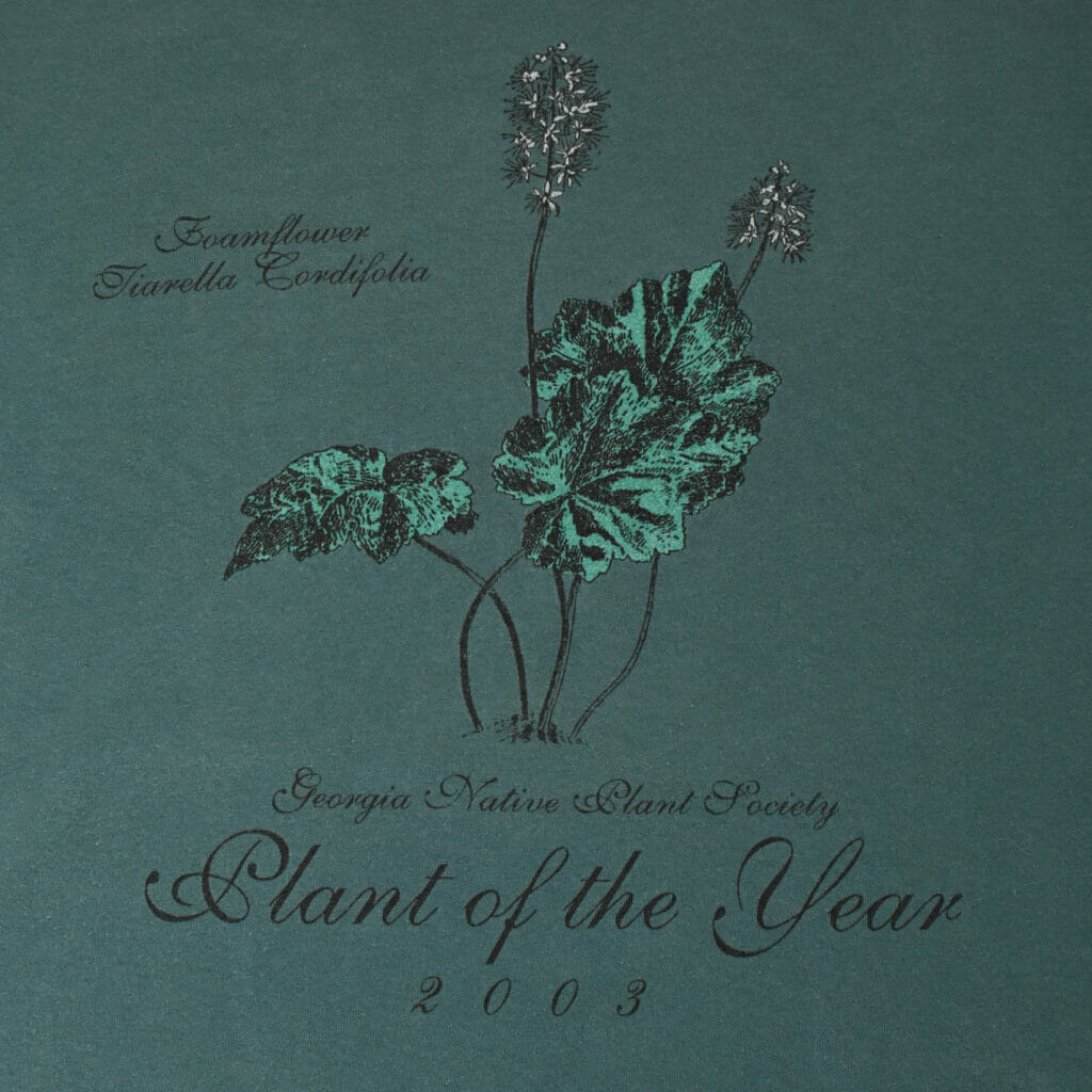 Foamflower (Tiarella cordifolia), 2003 Plant of the Year