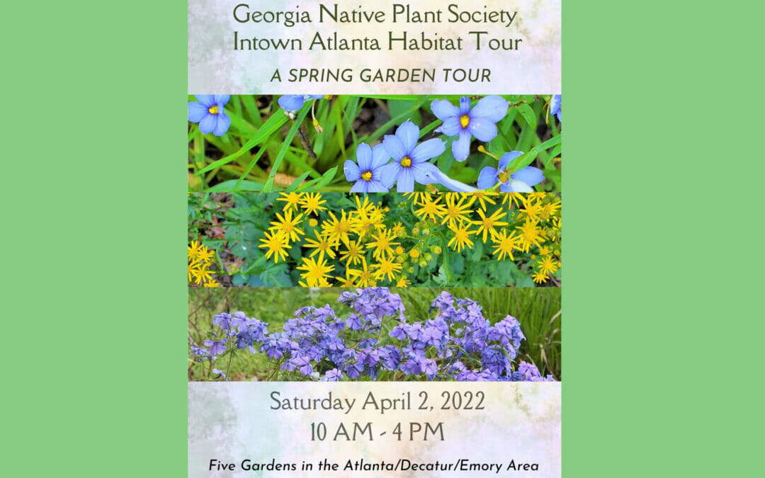 GNPS Intown Atlanta Chapter Native Plant Habitat Tour