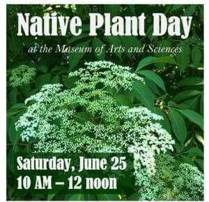 Native Plant Day at the Museum of Arts and Sciences