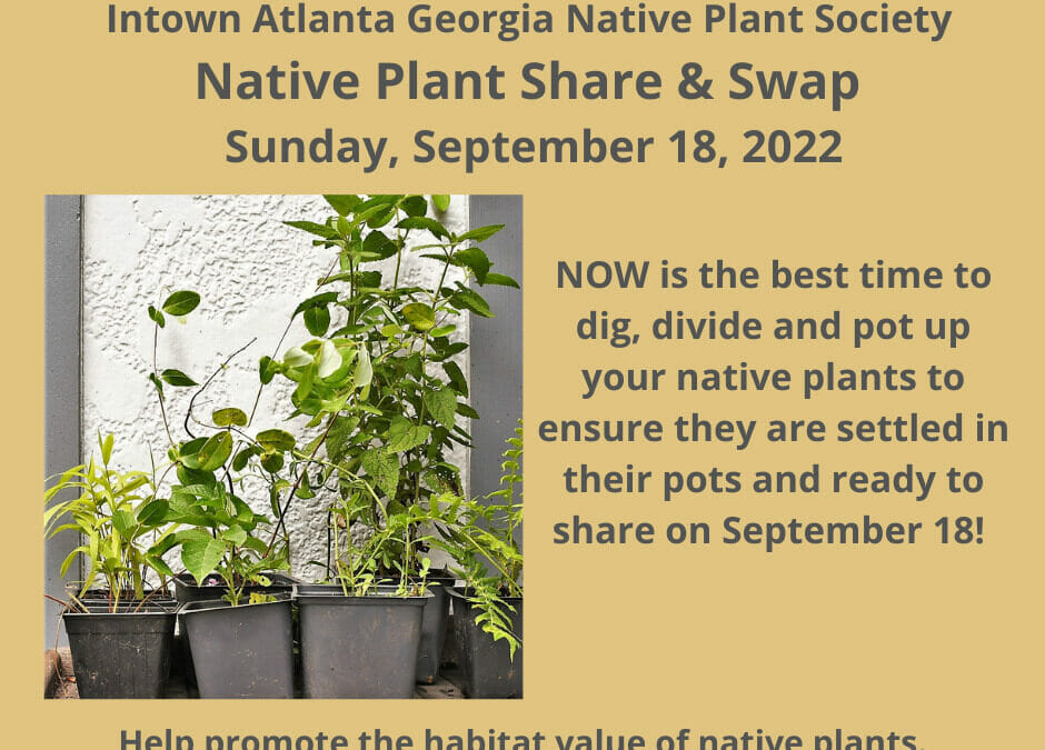 Save the Date: Chapter Annual Meeting and Plant Share!