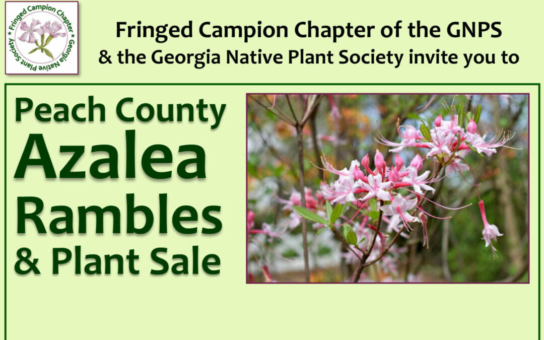 Date/Time Change: Peach County Azalea Ramble & Native Plant Sale