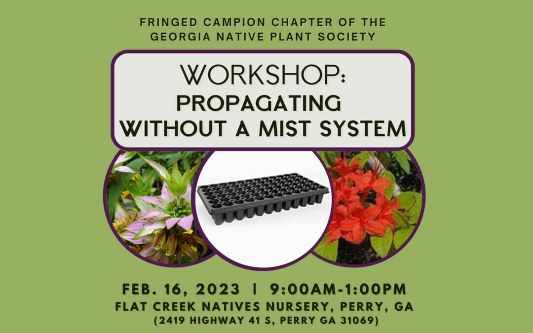 Propagating Without A Mist System Workshop