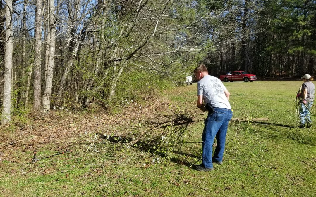 Removal of Invasives at Upper BCT Trailhead