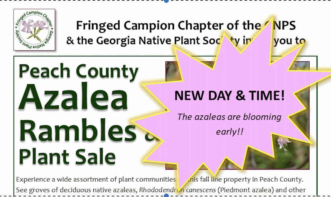 March 19 3-5 PM : Azalea Ramble & Native Plant Sale
