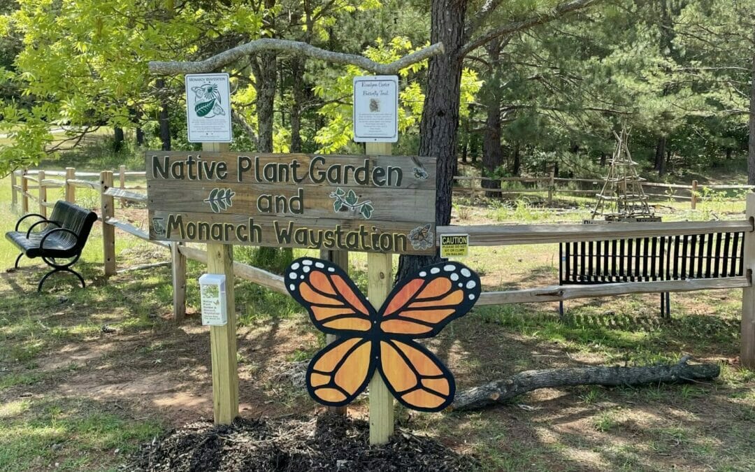 Weed and Water Schedule at the Amerson River Park Native Plant Garden & Monarch Waystation