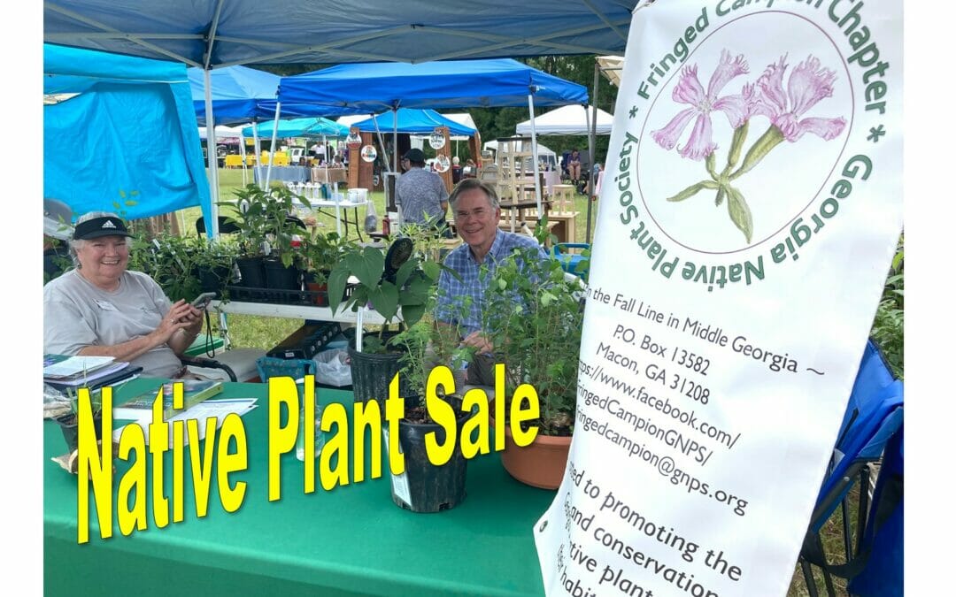 Native Plant Sale at the Wesleyan Market Oct. 14
