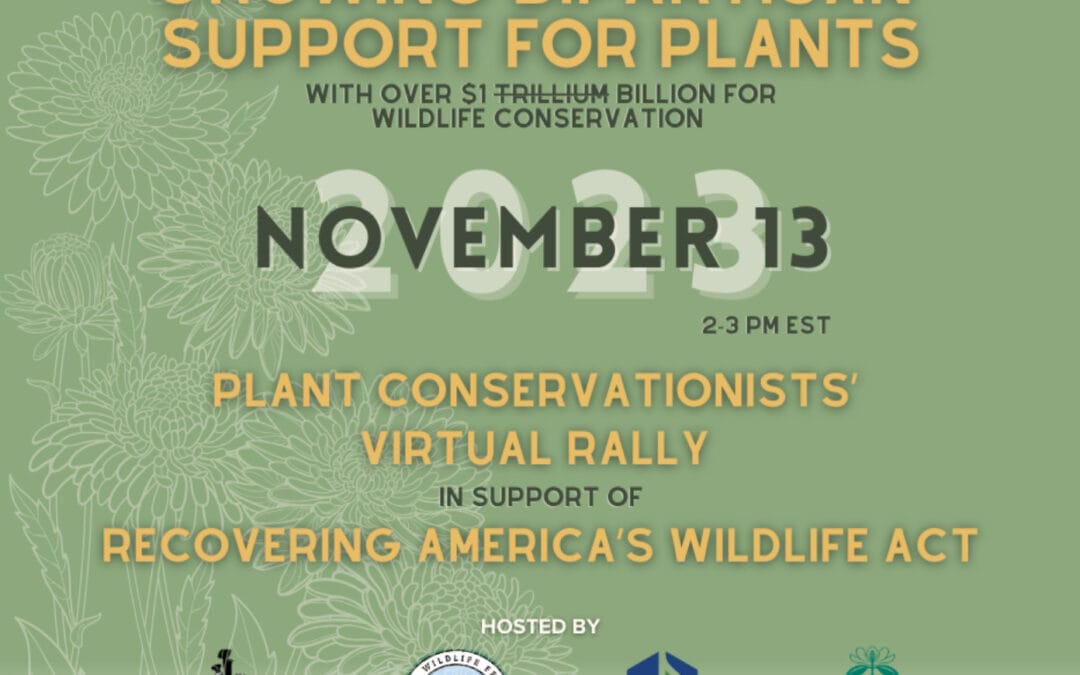Plant Conservationists’ Virtual Rally on November 13