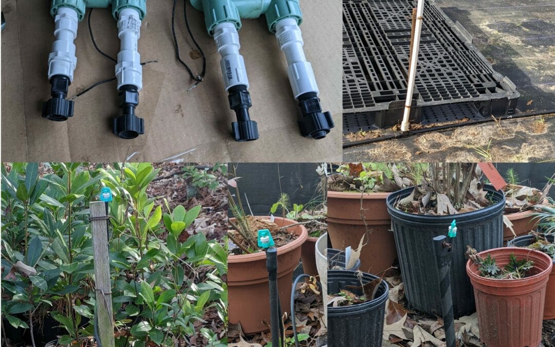 How to Design and Install Drip and Mist Irrigation Systems 2/10/24 1 PM