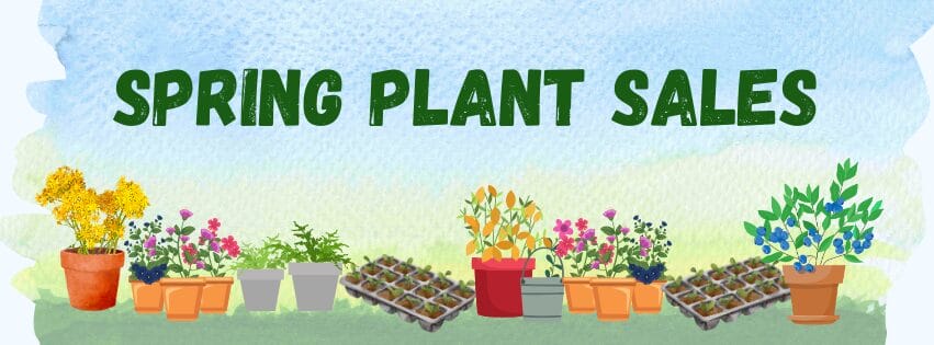 Spring Plant Sales Continue in April and May