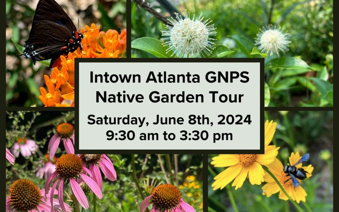 Intown Atlanta GNPS Native Garden Tour