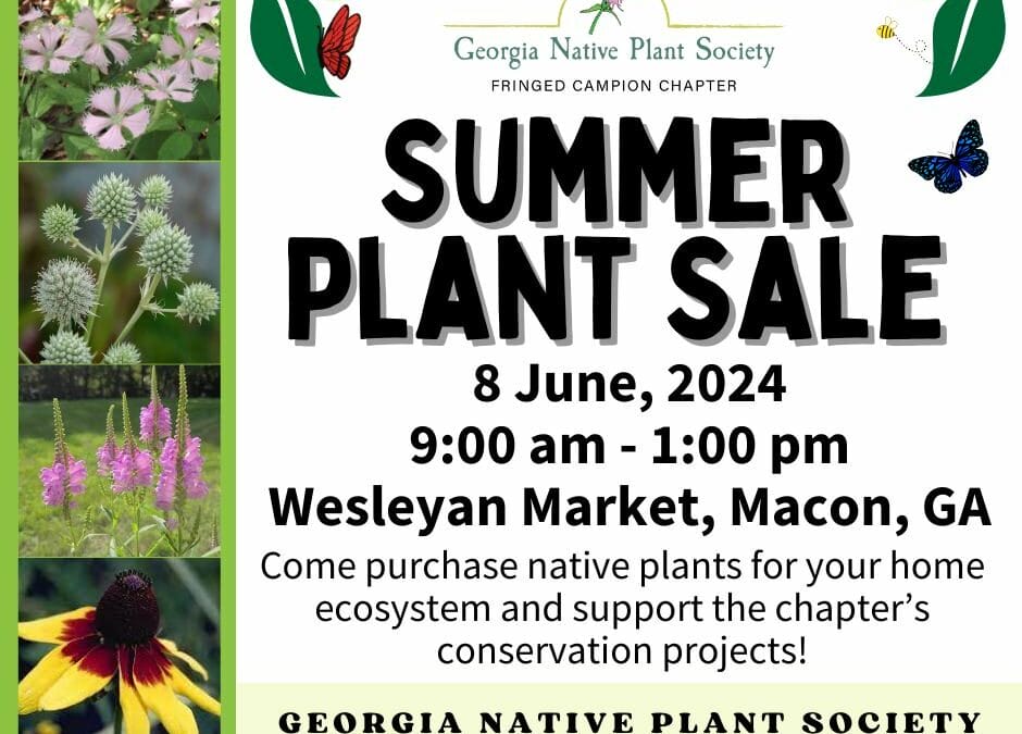 Summer Native Plant Sale at Wesleyan Market (Macon)