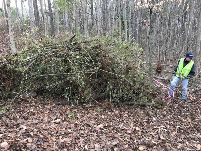 Weed Wrangle4