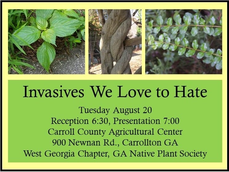Invasive Plant Panel at August Chapter Meeting