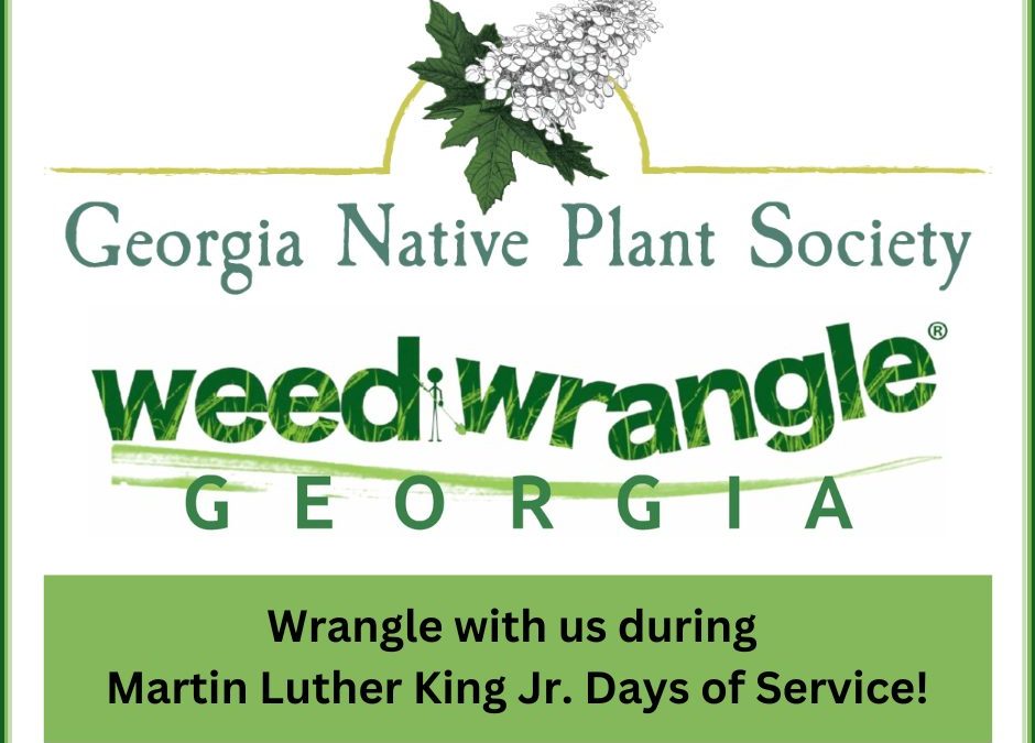 Wrangle With Us on MLK Jr. Day of Service!