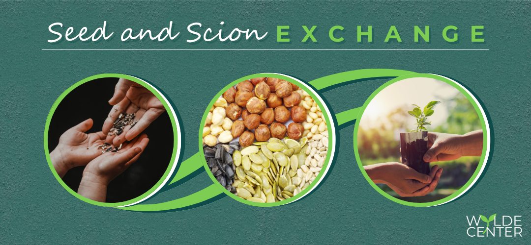 Seed and Scion Exchange hosted by the Wylde Center: