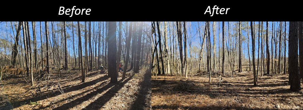 Weed wrangle before and after