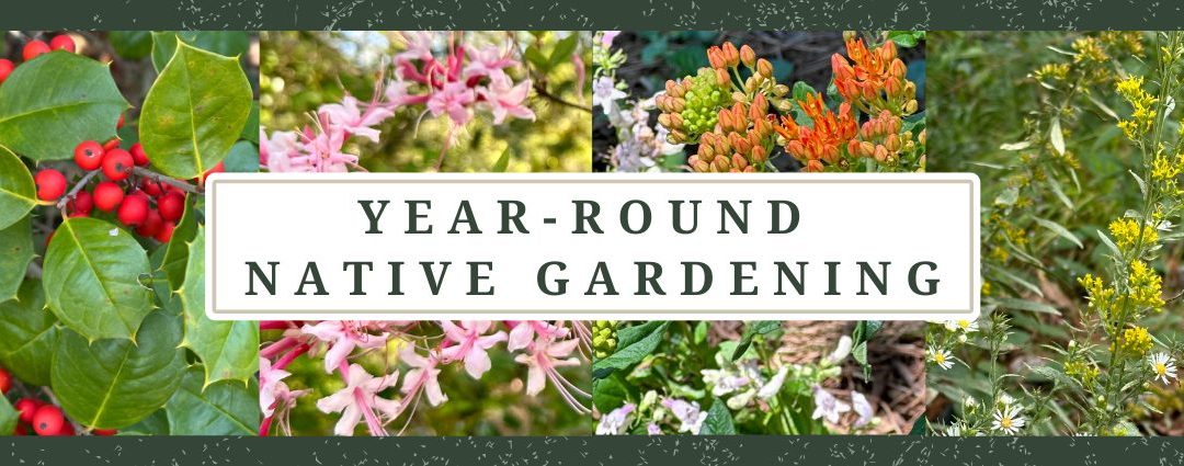 Intown Atlanta Year-Round Native Gardening 2025