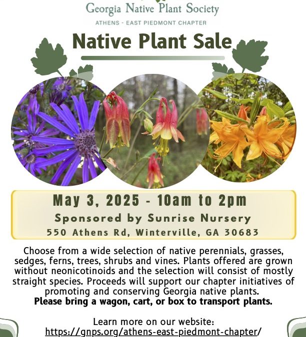 Athens-East Piedmont Native Plant Sale