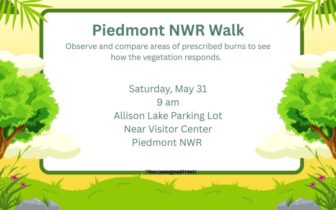 Nature Walk at the Piedmont National Wildlife Refuge