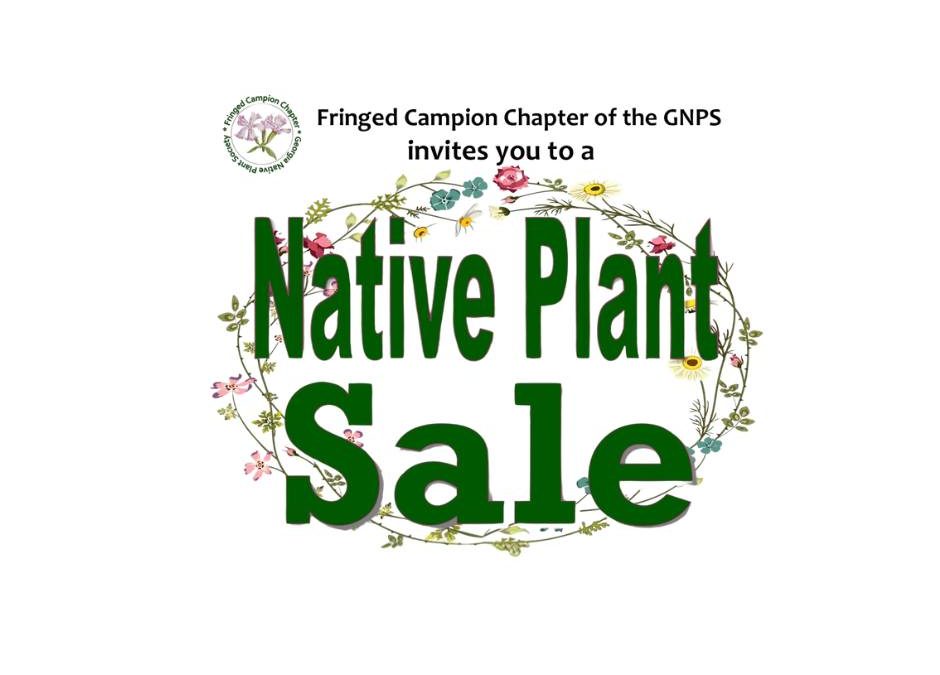 Native Plant Sale at Wesleyan Market on June 14, 2025 9 am to 1 pm