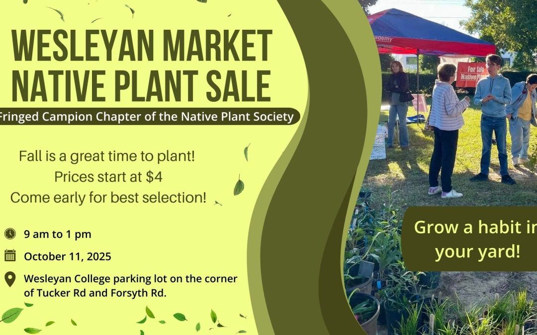 Native Plant Sale at Wesleyan Market on Oct. 11, 2025 9am – 1pm