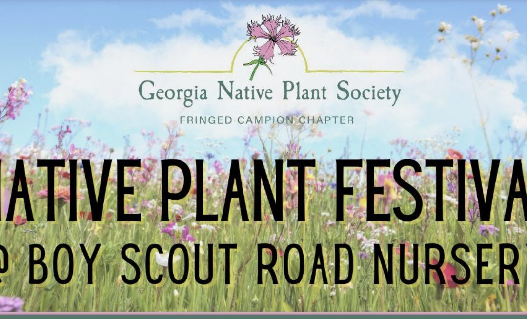 Open House & Native Plant Festival at Boy Scout Rd. Nursery (Byron)