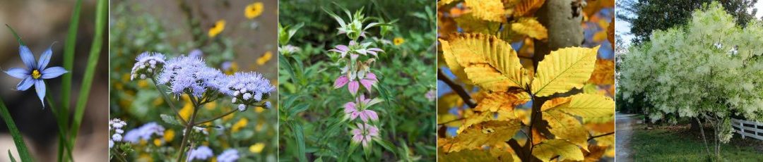 2026 Plant of the Year Nominations Open on Sep. 29