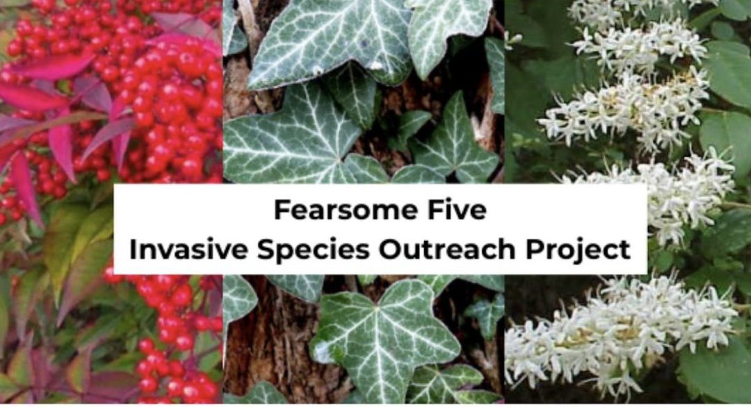 Identify & Eradicate! Invasive Plant Identification & Removal Workday (Macon)