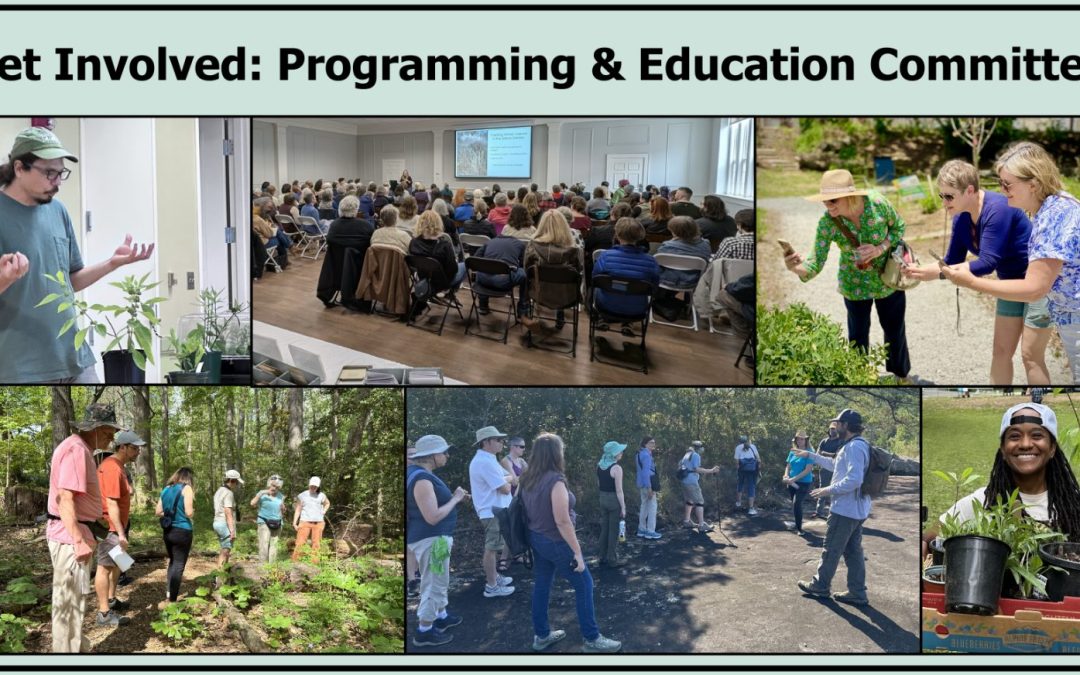 WE NEED YOU for the Programming and Education Committee