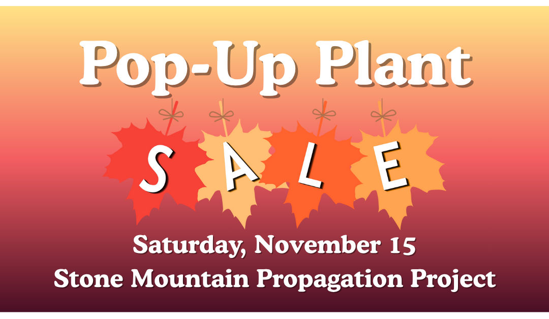 November Pop-Up Plant Sale at SMPP