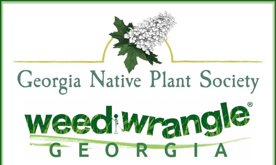 Weed Wrangle at Rose Hill Cemetery (Macon, GA)