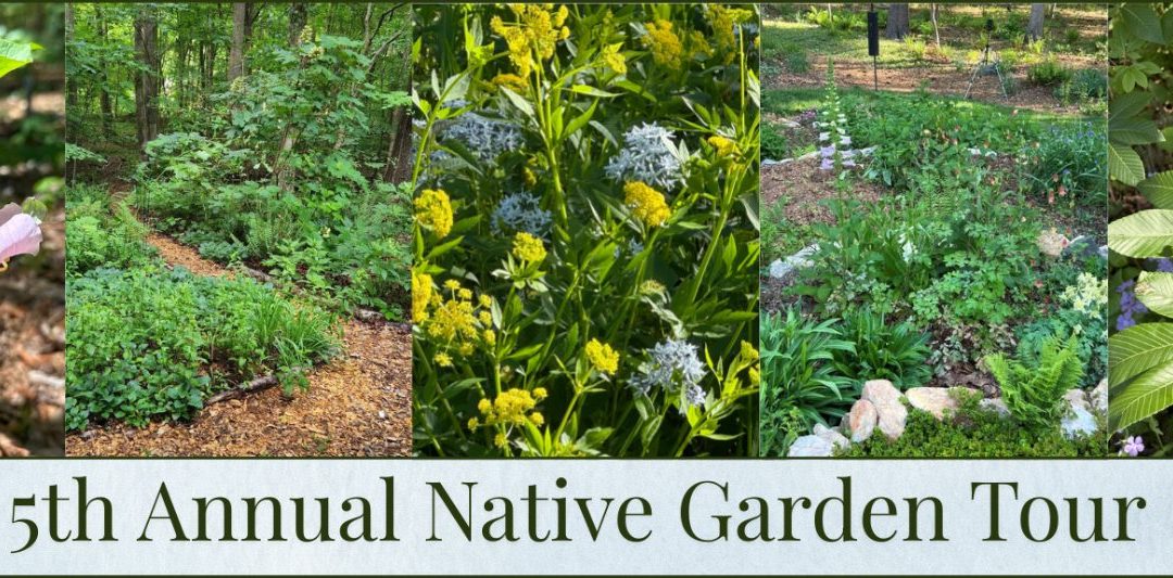 5th Annual Intown Atlanta Native Garden Tour
