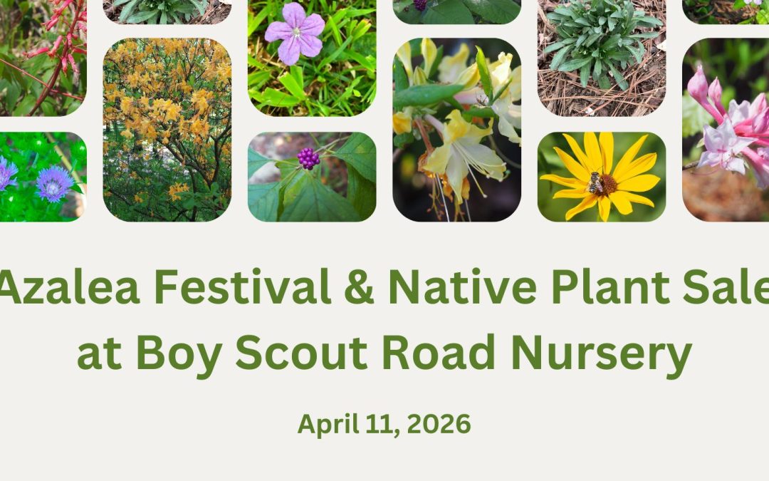 Azalea Festival & Native Plant Sale