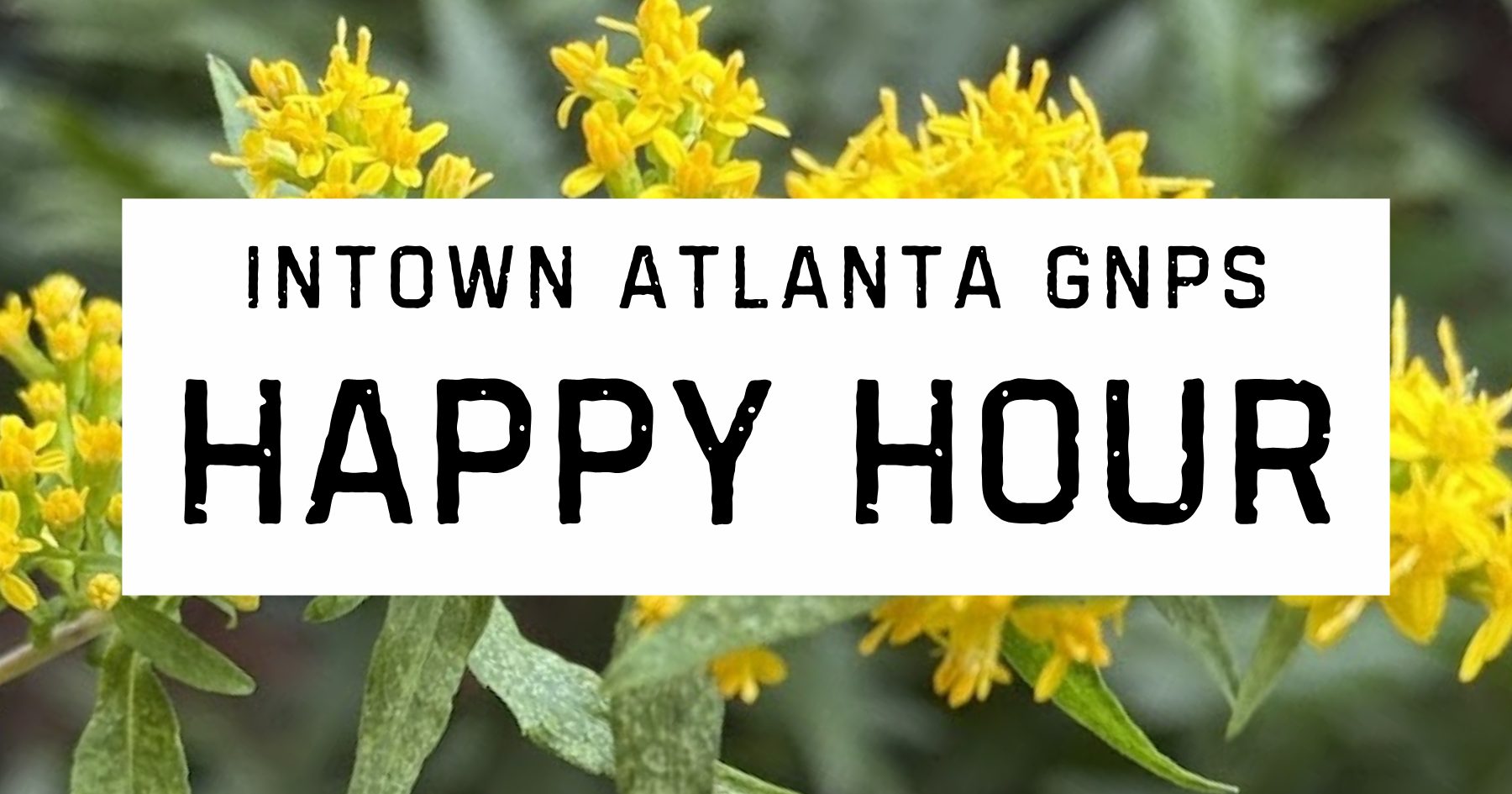Banner reading "Intown Atlanta GNPS Happy Hour" on a goldenrod backdrop