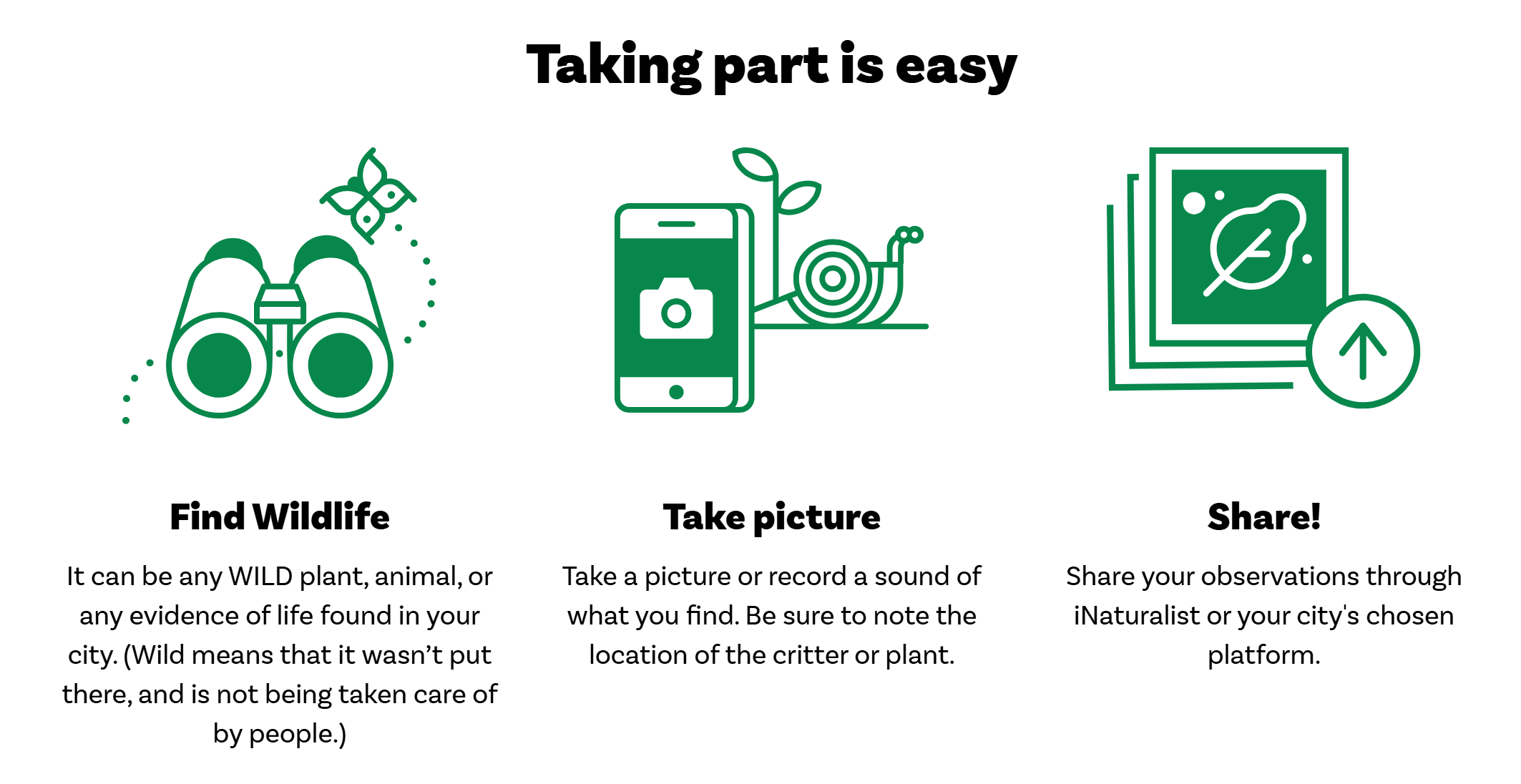 Taking part is easy!
Find wildlife, take a picture, and share it to the iNaturalist app.