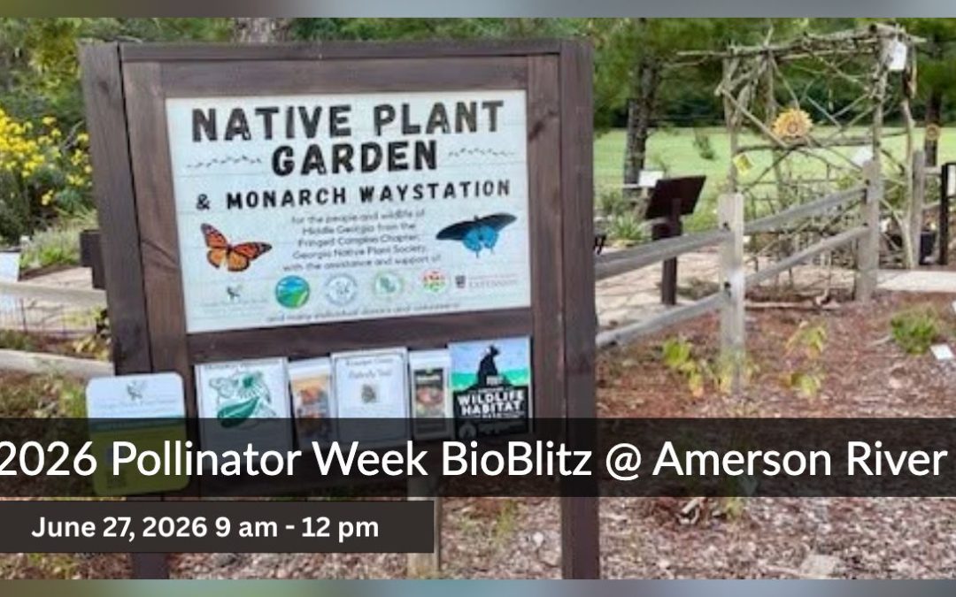 Pollinator Week BioBlitz @ Amerson River Park (Macon)
