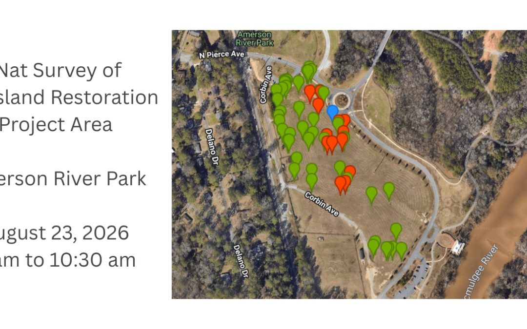 iNat Survey of Amerson River Park Habitat Improvement Area