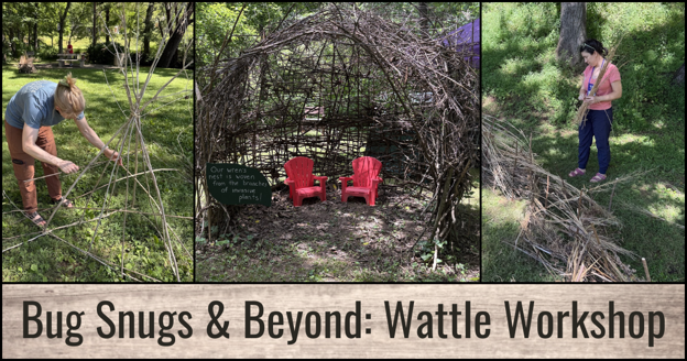 Bug Snugs and Beyond: Wattle Workshop