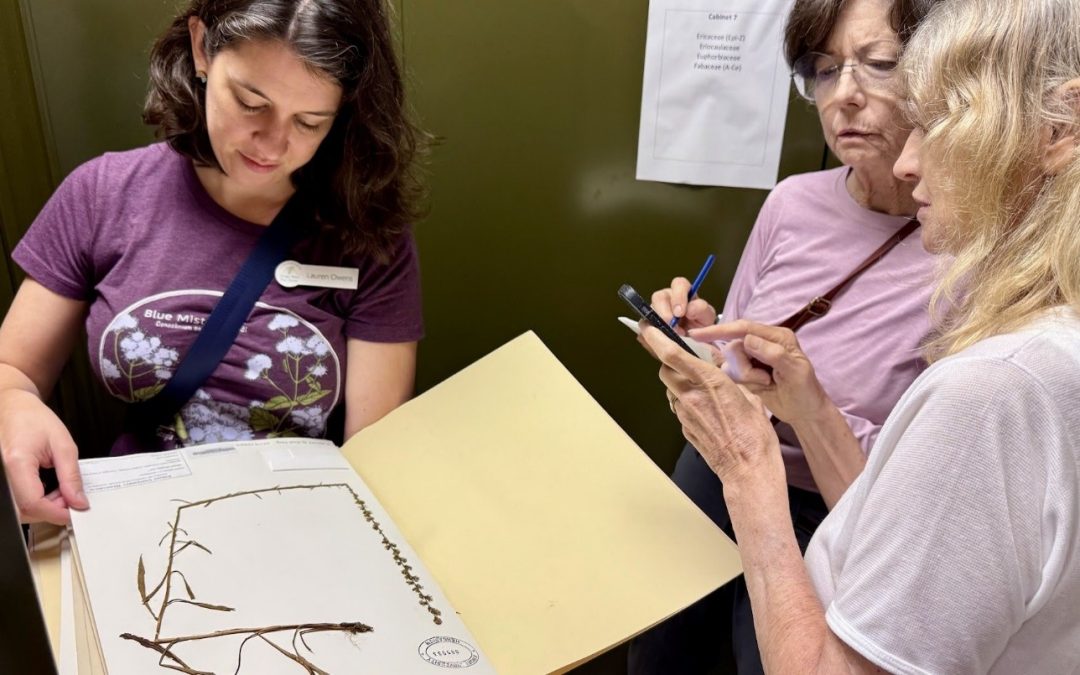 Emory Herbarium Tour