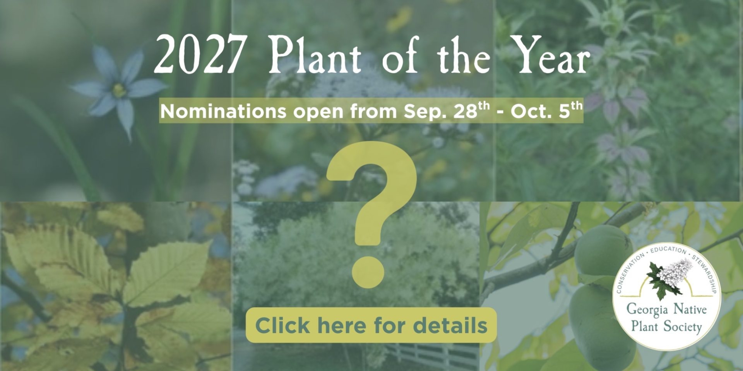2027 Plan of the Year