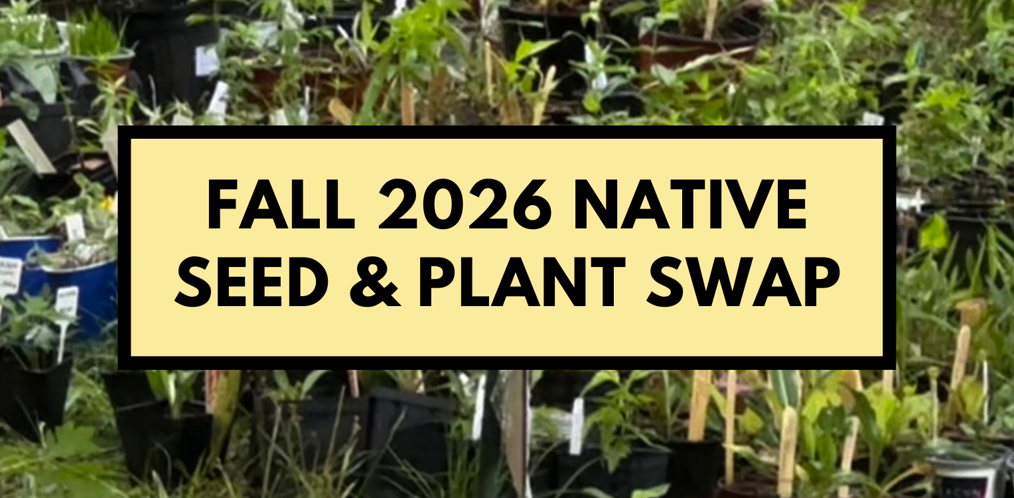 Fall Native Plant & Seed Swap